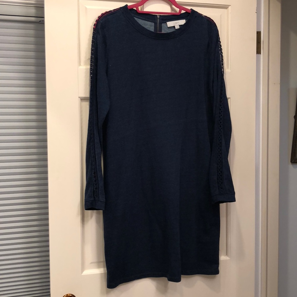 Blue Ann Taylor Loft Dress